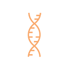 heredity heredity